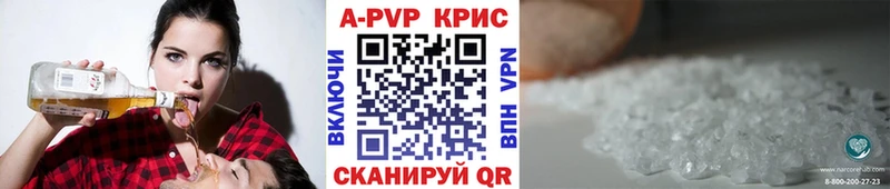 закладки Козельск Альфа ПВП СК