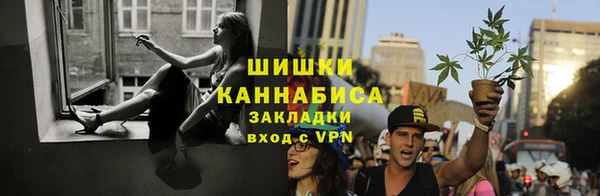ГАЛЛЮЦИНОГЕННЫЕ ГРИБЫ Нязепетровск
