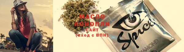 гидра Осинники