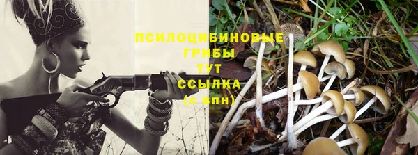 бутират Видное
