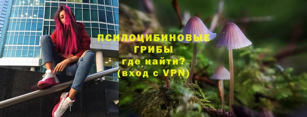 ECSTASY Остров