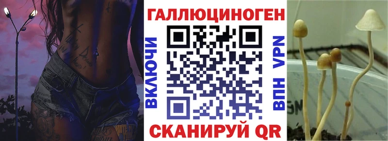 наркошоп  Козельск  ОМГ ОМГ зеркало  Псилоцибиновые грибы Psilocybine cubensis 